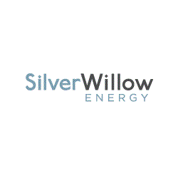 Silver Willow