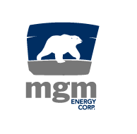 mgm energy