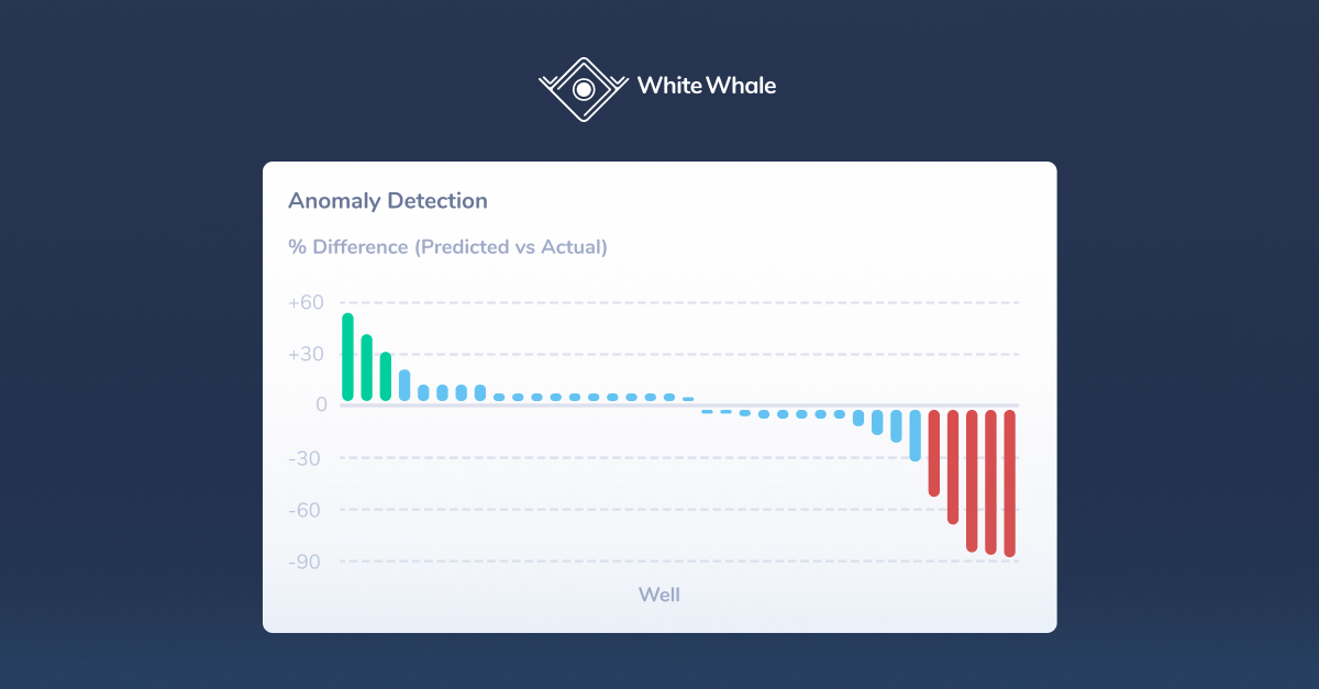 White Whale's Anomaly Detection