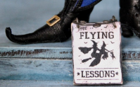 Flying lessons offered