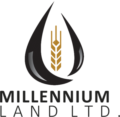 Millennium Land logo